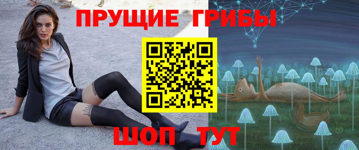 Галлюциногенные грибы Cubensis Красный Сулин